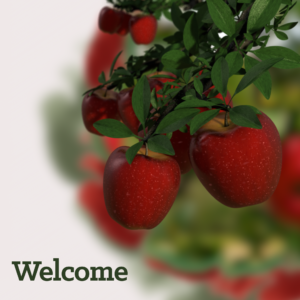 Forbidden Fruit Social Media. Tempting apples ready to be picked.