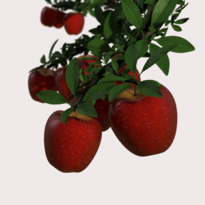 Forbidden Fruit Graphics. Tempting apples ready to be picked.