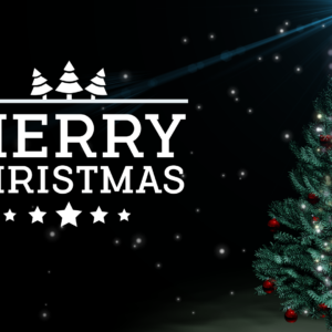 Lone Christmas Tree Videos. A lone Christmas Tree shines brightly in the dark as snow gently falls to the ground.