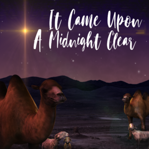 It Came Upon A Midnight Clear Social Media. Camels in the desert watch the Star of Bethlehem in a night sky.