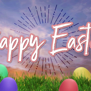 Easter Eggs Videos. Colorful Easter Eggs waiting to be found.