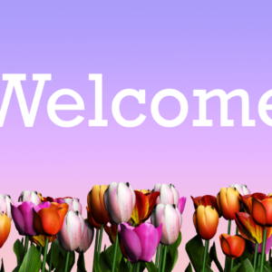 Tulips Videos. A verdant field of tulips – a perfect way to welcome your worshipers.