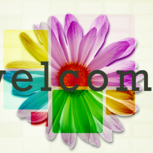Spring Daisy Videos. Spring colors with a spinning white daisy.