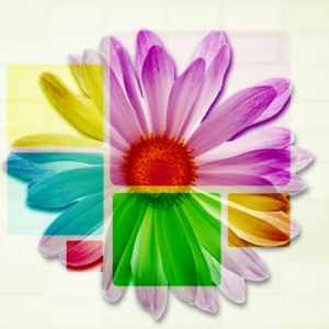 Spring Daisy Graphics. Spring colors with a spinning white daisy.