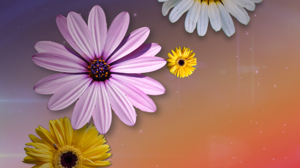 Mothers Day Flowers Graphics