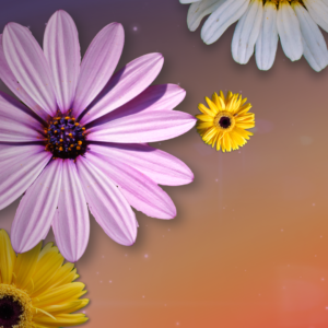 Mothers Day Flowers Graphics. Bright daisies celebrate moms against a purple/orange gradient background.