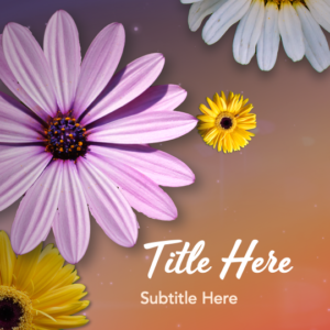 Mothers Day Flowers PowerPoint. Bright daisies celebrate moms against a purple/orange gradient background.