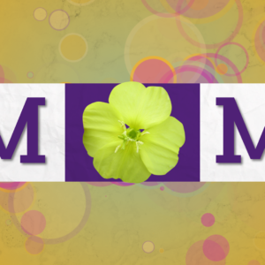 Mothers Day Church Service Graphics. A modern celebration of Moms everywhere with this set of worship media featuring bright colors.