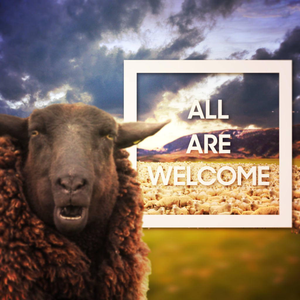 Welcome Flock Social Media