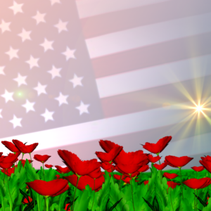 Memorial Day Worship Graphics. Designed for Memorial Day, the American flag flies over the middle of a field of red poppies.