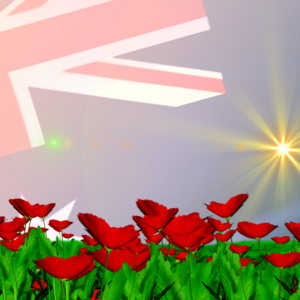 Remembrance Day Australia Graphics. Designed for Remembrance Day Australia, the Australian flies in remembrance over a field of red poppies.