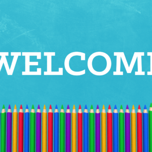 Back To School Videos. Colorful pencils lined up and ready for another school year.