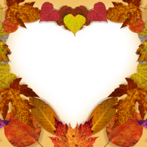 Autumn Splendor Graphics. Fall leaves form the outline of a heart.