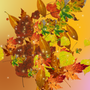 Autumn Church Background Graphics. A whoosh of colorful falling leaves welcomes everyone.