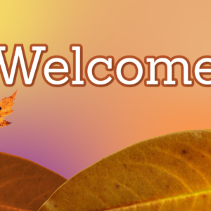 Fall Leaves Background Videos. Landscape is made entirely from fallen leaves.