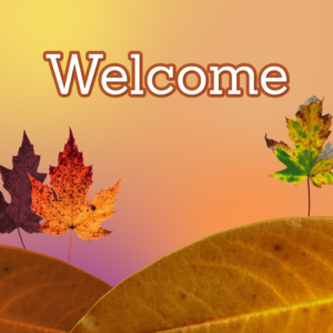 Fall Leaves Background Social Media. Landscape is made entirely from fallen leaves.