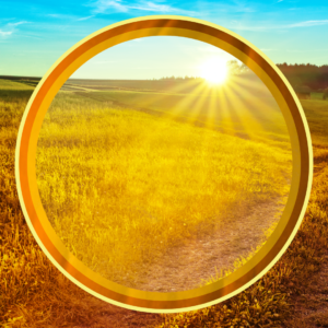 Welcome To Church Harvest Graphics. Sun rises over a fall farm field.