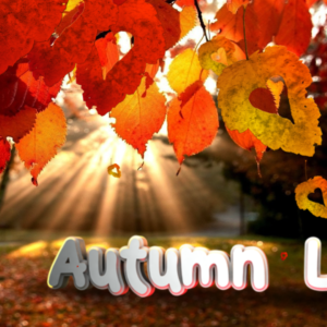 Fall Leaves Worship Videos. Fall leaves with a heart shape fall from a tree.