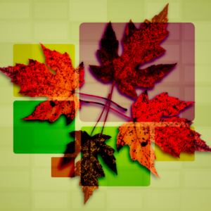Fall Worship Backgrounds Graphics. Fall leaves against a light green grid background.
