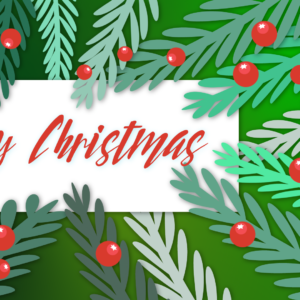 Christmas Fir Tree Videos. Branches from a Christmas Tree greet everyone with holiday joy.