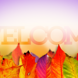 Thanksgiving Greetings Videos. Colorful fall leaves welcome all and celebrate the change of seasons.