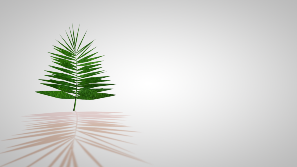Palm Sunday 2023 Graphics