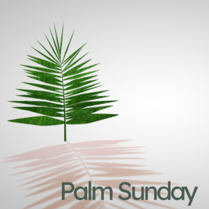 Palm Sunday 2023 Social Media. A green palm frond ready to celebrate the start of Easter Holy Week.