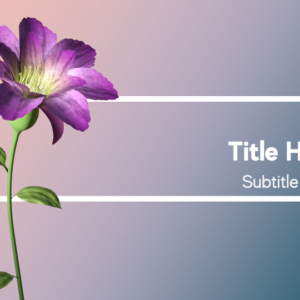 Blooming Flower PowerPoint. A beautiful purple flower blooms - a sign of welcome to all.