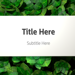 Lush Green Garden PowerPoint. Closeup view of a patch of green leaves from a garden of plants.