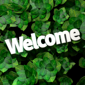 Lush Green Garden Social Media. Closeup view of a patch of green leaves from a garden of plants.