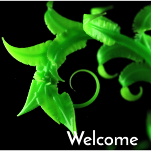 Curling Branches Social Media. A close-up view of the leaves of a young plant growing.