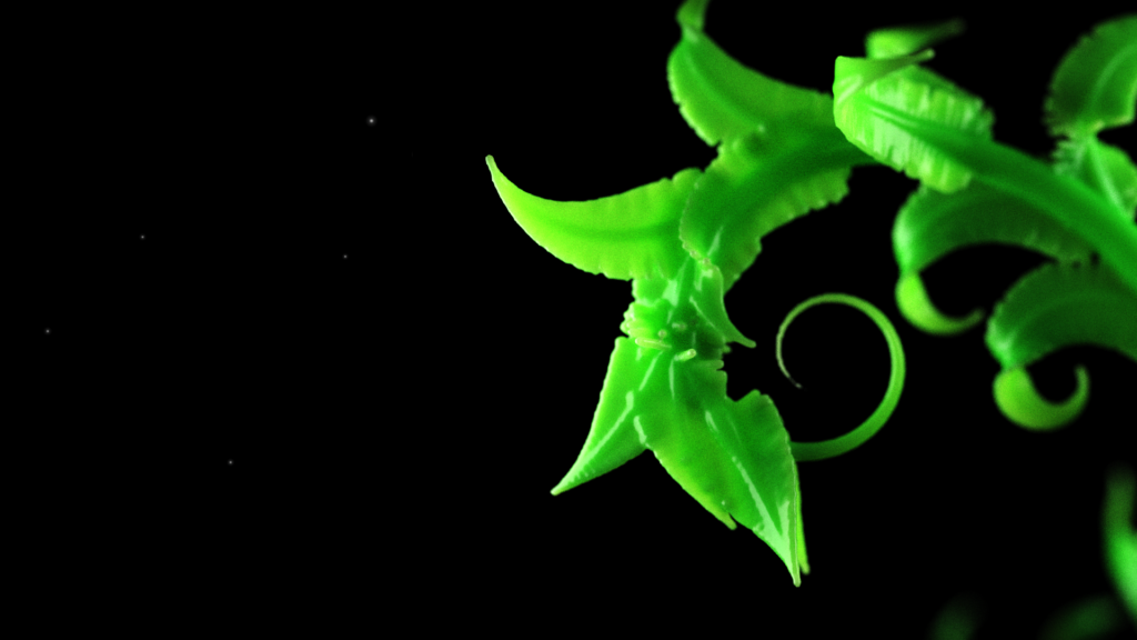 Curling Branches Graphics