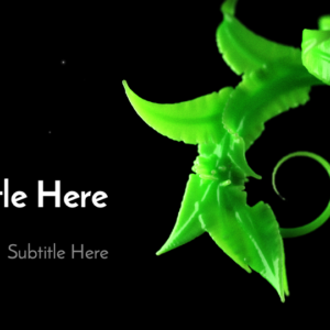 Curling Branches PowerPoint. A close-up view of the leaves of a young plant growing.