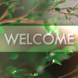 Growth Videos. A tree grows in time-lapse.