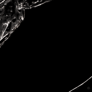 Fluid Ring Graphics. A circle of water splashes in every direction.