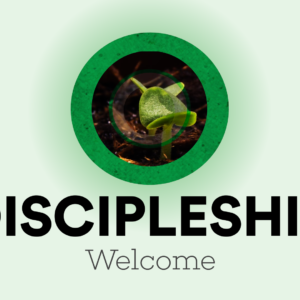 Discipleship Videos. Images feature a young plant just emerging from the soil.