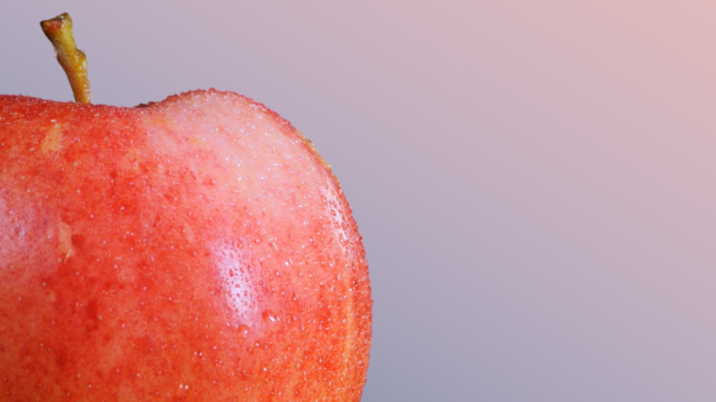 Fruits of Discipleship Graphics