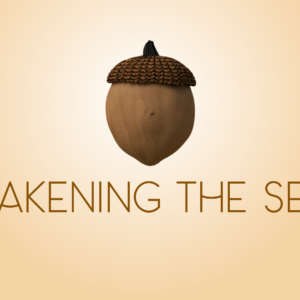 Awaken The Seed Videos. Image features an acorn, waiting to become a tree.