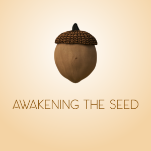 Awaken The Seed Social Media. Image features an acorn, waiting to become a tree.