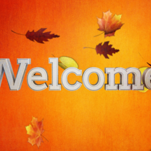 Swirling Leaves Videos. A cluster of swirling leaves celebrate Autumn.