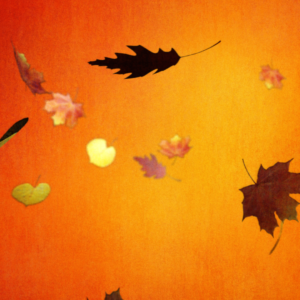 Swirling Leaves Graphics. A cluster of swirling leaves celebrate Autumn.