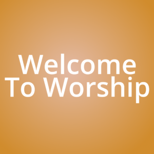 Autumn Leaf Reveal Videos. Colorful fall leaves are blown away by the wind.