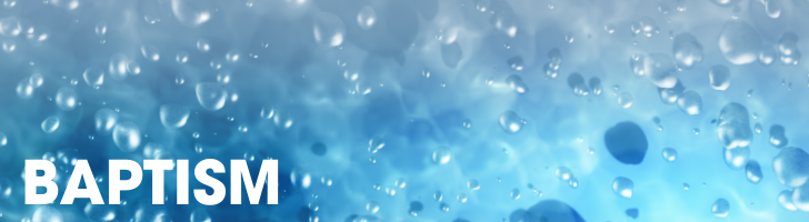 Air bubbles rise to the surface of the water