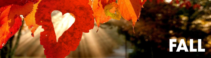 Fall leaves, including one with the shape of a heart