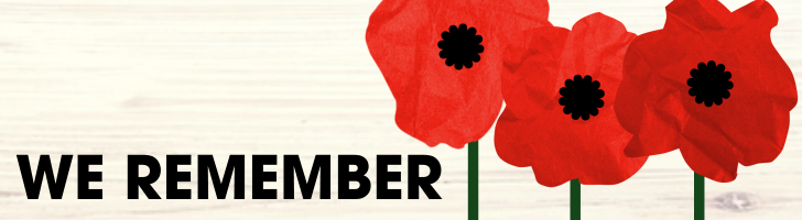 Three red poppies against a light background