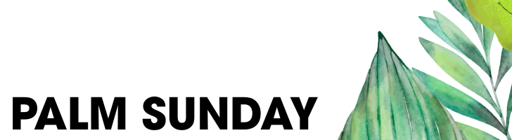 Lush green palm fronds against a white background