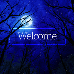 Winter Nights Social Media. The peace and calm of a winter night in a forest.