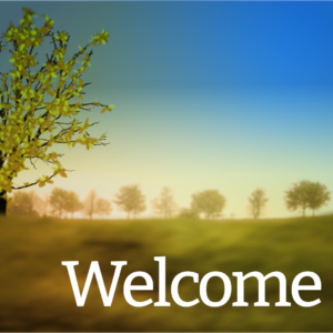 Personal Resurrection Videos. A meadow blooms to life at the start of spring.