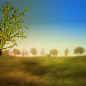 Personal Resurrection Graphics. A meadow blooms to life at the start of spring.