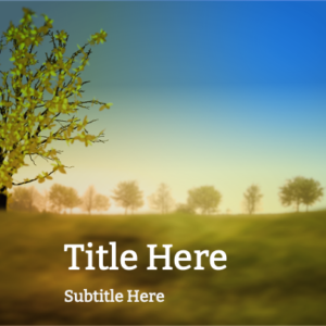 Personal Resurrection PowerPoint. A meadow blooms to life at the start of spring.